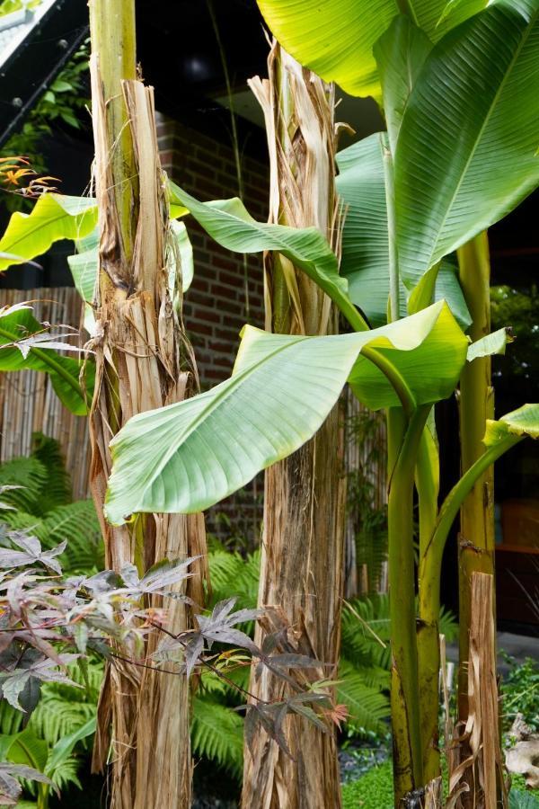 Jungle Stay In A Hidden Paradise Zwijndrecht Eksteriør bilde