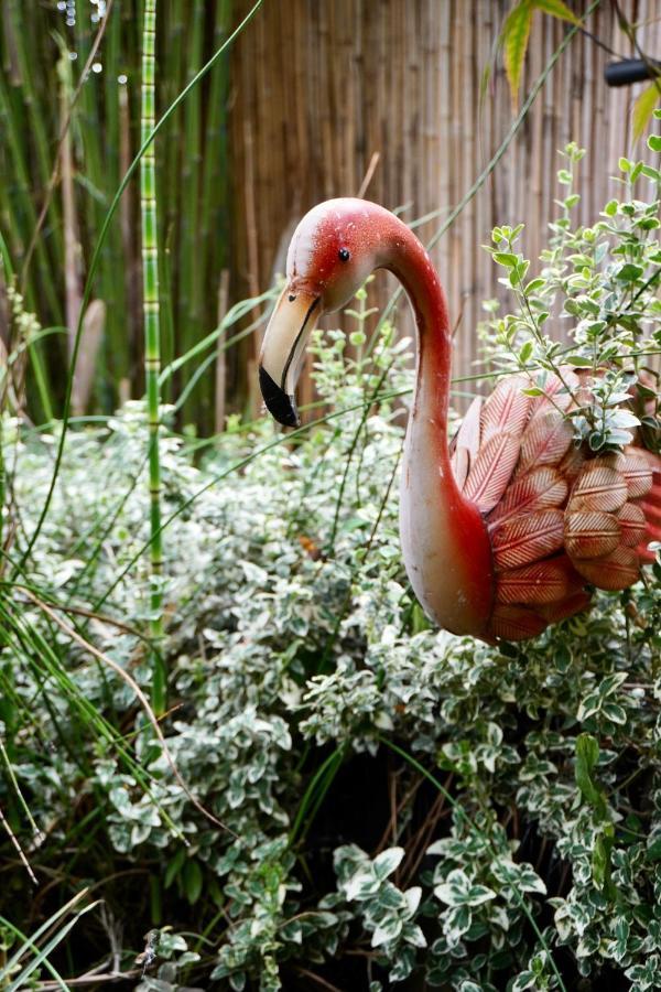 Jungle Stay In A Hidden Paradise Zwijndrecht Eksteriør bilde