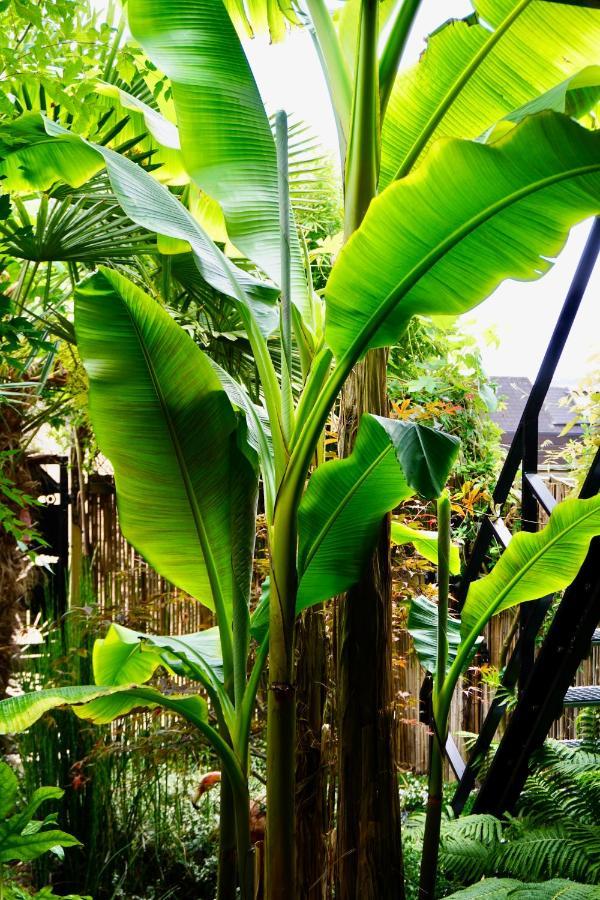 Jungle Stay In A Hidden Paradise Zwijndrecht Eksteriør bilde