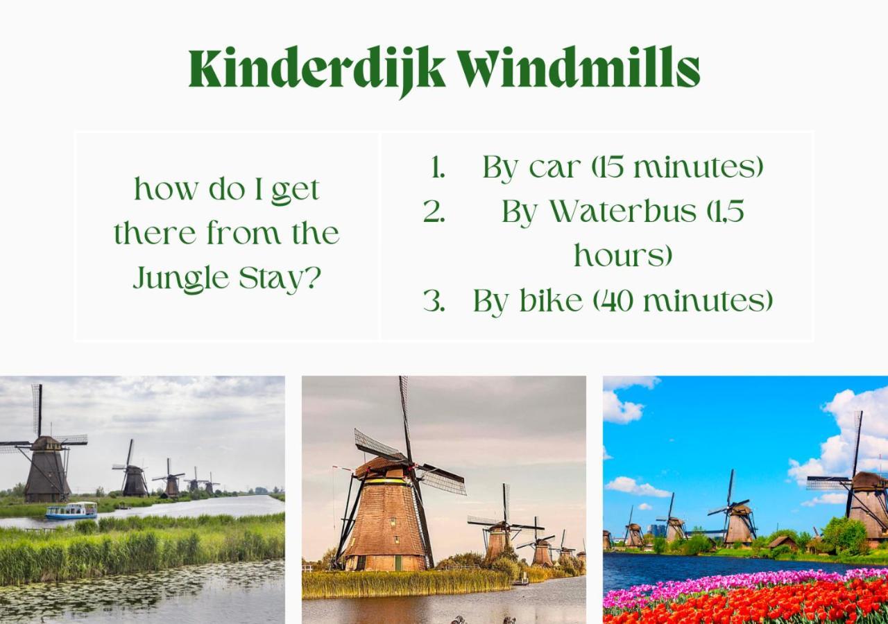 Jungle Stay In A Hidden Paradise Zwijndrecht Eksteriør bilde